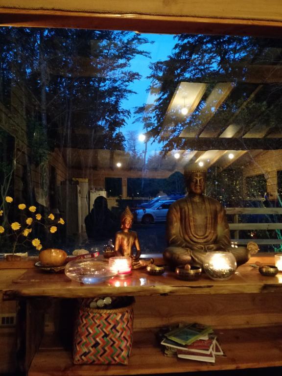 Okori Hostel Пукон Экстерьер фото